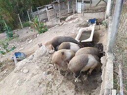 Hotel Fazenda Colinas de Itupeva