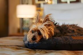 Wine & Books Lisboa Hotel