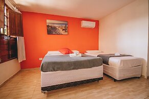 Pousada Porto  Amazônia