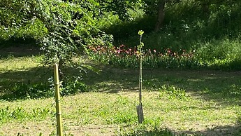 Appartamento Roero Cottage 3