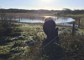 Spacious Farmhouse Near Beach