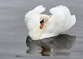 Apartment in Scheveningen by the Harbor