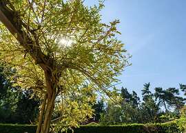 Bungalow in Veluwe With Infrared Sauna