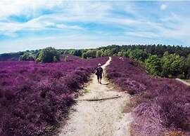 Bungalow in Veluwe With Infrared Sauna