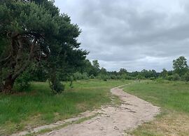 Bungalow in Veluwe With Infrared Sauna