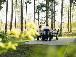 Detached Forest Villa With Dishwasher at De Veluwe