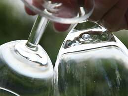 Luxurious Lodge With Airco, Located Beside a Lake