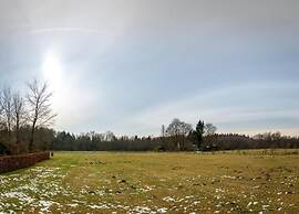 Designer Chalet in the Veluwe
