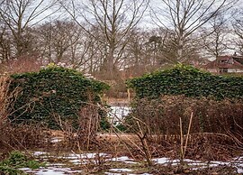 Designer Chalet in the Veluwe
