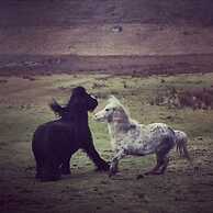The Rabbit Hole - Kinlochbervie