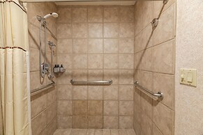 Cozy Pet-friendly King Studio In Mt. Crested Butte Condo - No Cleaning