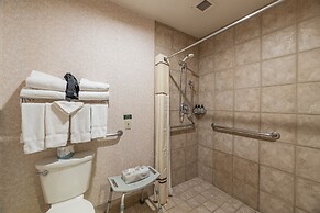 Cozy Pet-friendly King Studio In Mt. Crested Butte Condo - No Cleaning