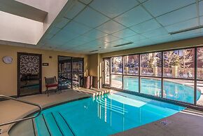 Cozy Pet-friendly King Studio In Mt. Crested Butte Condo - No Cleaning