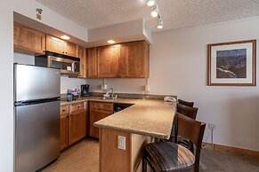 Grand Lodge 1-Bedroom Condo with 3 Queens & Close to Everything 1 Cond