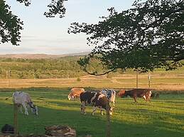 Cosy Wood Cabin in Rural Area Near National Park