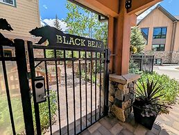 Black Bear 8053