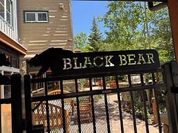 Black Bear 8053