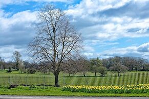 A Very British Place to Stay - 3 Bedrooms Central