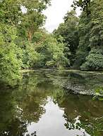 Charming 3 BR House - Garden Parking Near CS Lewis Park