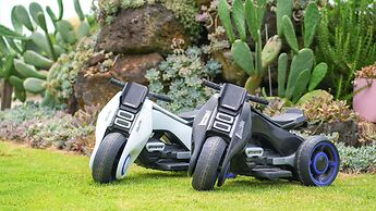 Jeju Kids and Dolphin Pension