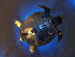 Bluetel Lixouri, Greece