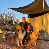 ZenZontle GlampingSMA By Rotamundos