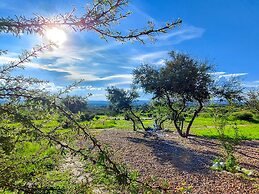 ZenZontle GlampingSMA By Rotamundos