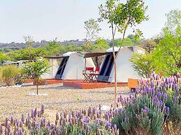 ZenZontle GlampingSMA By Rotamundos