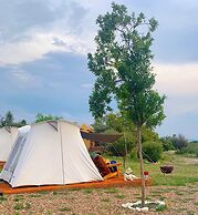 ZenZontle GlampingSMA By Rotamundos