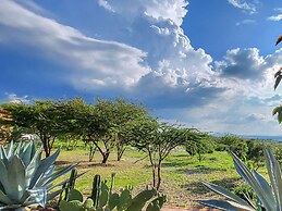 ZenZontle GlampingSMA By Rotamundos