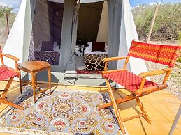 ZenZontle GlampingSMA By Rotamundos