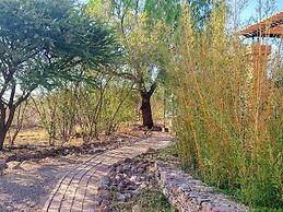 ZenZontle GlampingSMA By Rotamundos