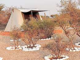 ZenZontle GlampingSMA By Rotamundos