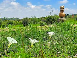 ZenZontle GlampingSMA By Rotamundos