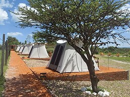 ZenZontle GlampingSMA By Rotamundos