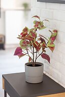 Apartment Grzybowska Warsaw by Renters