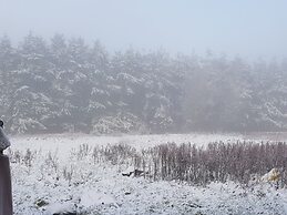 Cosy Cottage in the Blackdown Hills, Devon
