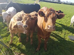 Cosy Cottage in the Blackdown Hills, Devon