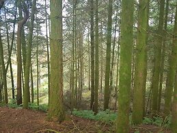 Cosy Cottage in the Blackdown Hills, Devon