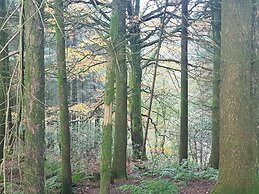 Cosy Cottage in the Blackdown Hills, Devon