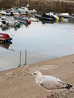 Cosy Cottage in the Blackdown Hills, Devon