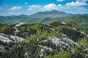 Cozy Home With Private Garden