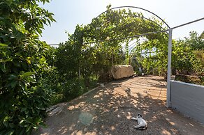 Serene Seaside Bliss - Lush & Secluded Garden Oasis