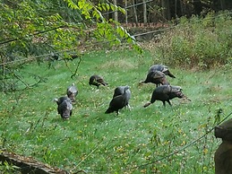 Pocono Mountains Hotel and Spa