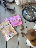 Apartamentos Líbere Valencia Jardín Botánico