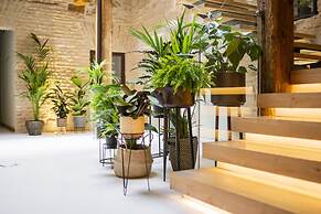 Dobo | Hostal Azacanes