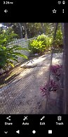 My Little Cabin In Negril 2 Bedroom Cabin by RedAwning
