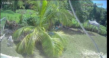 My Little Cabin In Negril 2 Bedroom Cabin by RedAwning