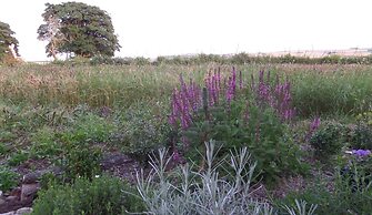 Charming 1-bed Garden Lodge in Boyndie, Banff