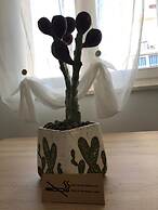 in the Heart of the City of Bari